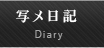 写メ日記
